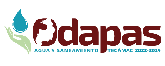 Director de ODAPAS